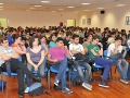 Platea